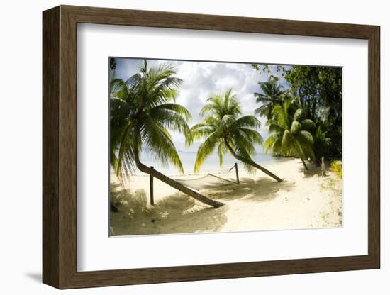 Tropical Island Beach with Hammock at Matangi Island Resort, Vanua Levu, Fiji, Pacific-Louise Murray-Framed Photographic Print