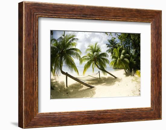 Tropical Island Beach with Hammock at Matangi Island Resort, Vanua Levu, Fiji, Pacific-Louise Murray-Framed Photographic Print