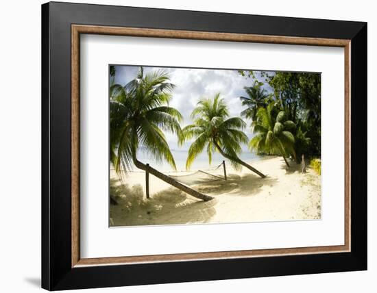 Tropical Island Beach with Hammock at Matangi Island Resort, Vanua Levu, Fiji, Pacific-Louise Murray-Framed Photographic Print