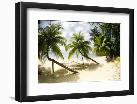 Tropical Island Beach with Hammock at Matangi Island Resort, Vanua Levu, Fiji, Pacific-Louise Murray-Framed Photographic Print