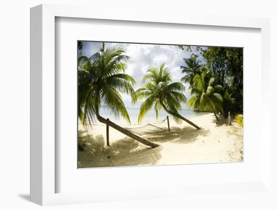 Tropical Island Beach with Hammock at Matangi Island Resort, Vanua Levu, Fiji, Pacific-Louise Murray-Framed Photographic Print