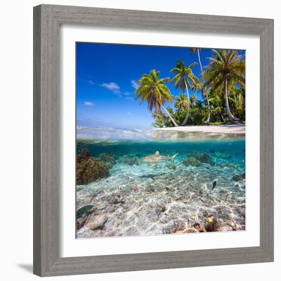 Tropical Island under and Above Water-Blueorangestudio-Framed Photographic Print