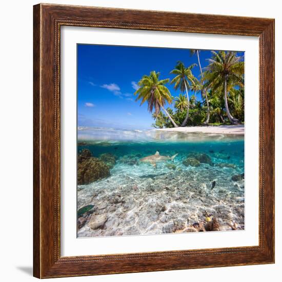 Tropical Island under and Above Water-Blueorangestudio-Framed Photographic Print