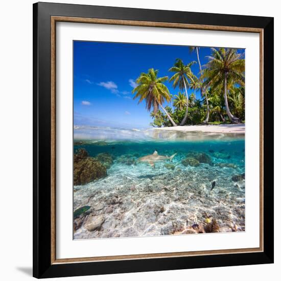 Tropical Island under and Above Water-Blueorangestudio-Framed Photographic Print