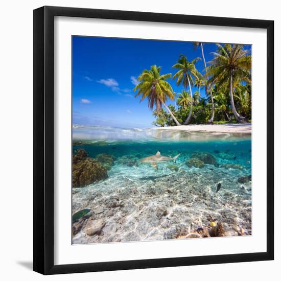 Tropical Island under and Above Water-Blueorangestudio-Framed Photographic Print