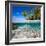 Tropical Island under and Above Water-Blueorangestudio-Framed Photographic Print