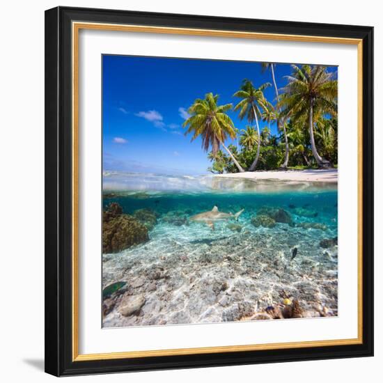 Tropical Island under and Above Water-Blueorangestudio-Framed Photographic Print