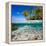 Tropical Island under and Above Water-Blueorangestudio-Framed Premier Image Canvas