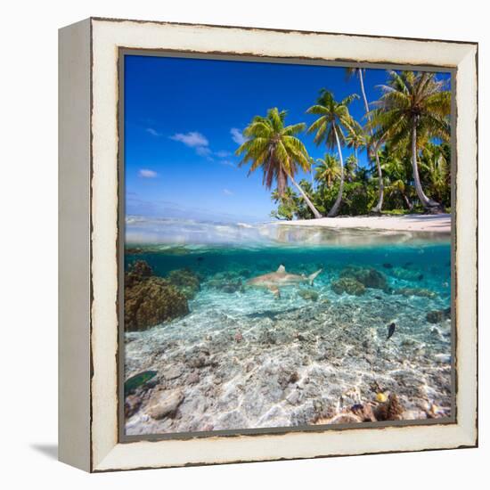 Tropical Island under and Above Water-Blueorangestudio-Framed Premier Image Canvas