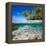 Tropical Island under and Above Water-Blueorangestudio-Framed Premier Image Canvas