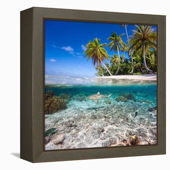 Tropical Island under and Above Water-Blueorangestudio-Framed Premier Image Canvas