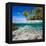 Tropical Island under and Above Water-Blueorangestudio-Framed Premier Image Canvas