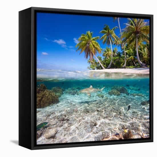 Tropical Island under and Above Water-Blueorangestudio-Framed Premier Image Canvas