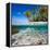 Tropical Island under and Above Water-Blueorangestudio-Framed Premier Image Canvas