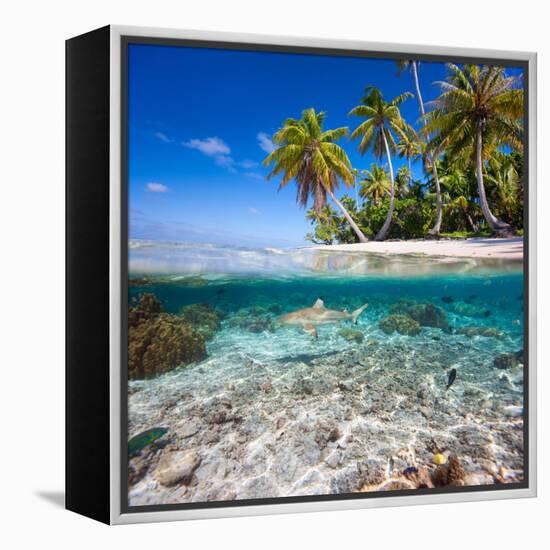 Tropical Island under and Above Water-Blueorangestudio-Framed Premier Image Canvas