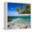 Tropical Island under and Above Water-Blueorangestudio-Framed Premier Image Canvas