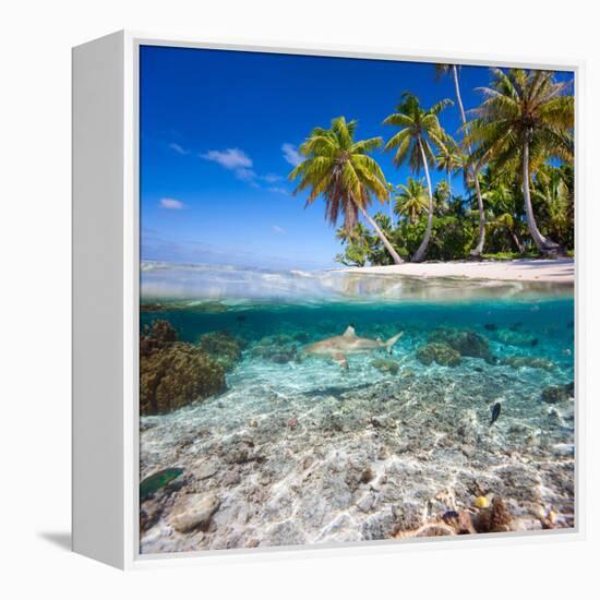 Tropical Island under and Above Water-Blueorangestudio-Framed Premier Image Canvas