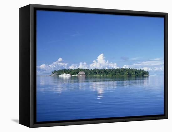 Tropical Island with Palm Trees, Surrounded by the Sea in the Maldive Islands, Indian Ocean-Tovy Adina-Framed Premier Image Canvas