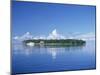 Tropical Island with Palm Trees, Surrounded by the Sea in the Maldive Islands, Indian Ocean-Tovy Adina-Mounted Photographic Print