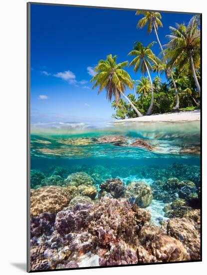 Tropical Island-Blueorangestudio-Mounted Photographic Print