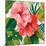 Tropical Jewels I v2 Pink Crop-Silvia Vassileva-Mounted Premium Giclee Print