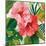 Tropical Jewels I v2 Pink Crop-Silvia Vassileva-Mounted Art Print