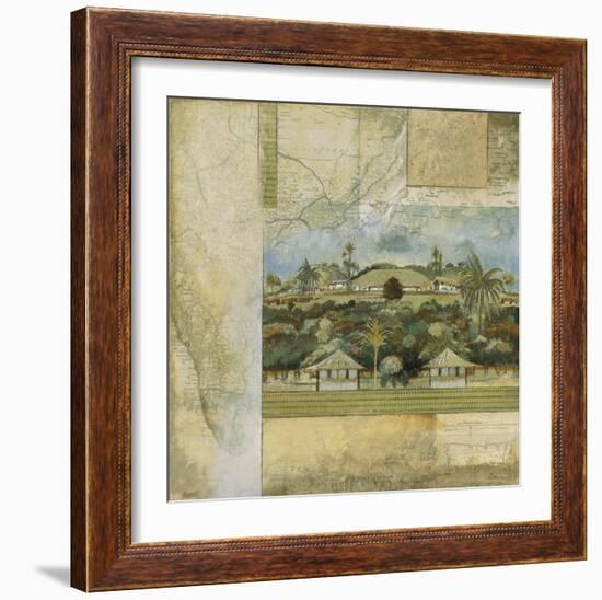 Tropical Journey II-Douglas-Framed Giclee Print