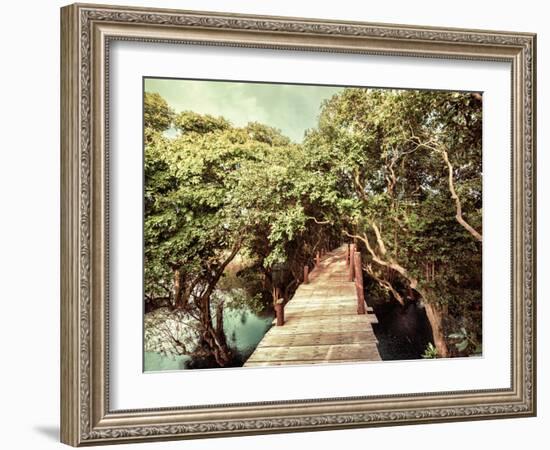 Tropical Jungle Landscape with Wooden Bridge at Flooded Rain Forest of Mangrove Trees. Cambodia-Im Perfect Lazybones-Framed Photographic Print