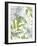 Tropical Jungle-Sandra Jacobs-Framed Giclee Print