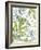 Tropical Jungle-Sandra Jacobs-Framed Giclee Print