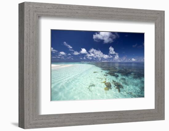 Tropical Lagoon and Coral Reef, Baa Atoll, Maldives, Indian Ocean, Asia-Sakis Papadopoulos-Framed Photographic Print