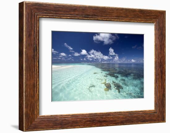 Tropical Lagoon and Coral Reef, Baa Atoll, Maldives, Indian Ocean, Asia-Sakis Papadopoulos-Framed Photographic Print