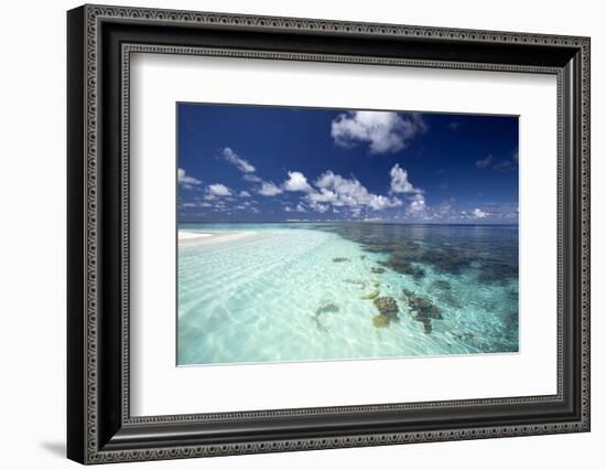 Tropical Lagoon and Coral Reef, Baa Atoll, Maldives, Indian Ocean, Asia-Sakis Papadopoulos-Framed Photographic Print
