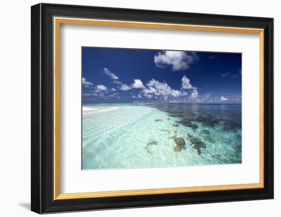 Tropical Lagoon and Coral Reef, Baa Atoll, Maldives, Indian Ocean, Asia-Sakis Papadopoulos-Framed Photographic Print