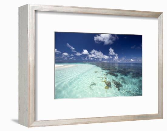 Tropical Lagoon and Coral Reef, Baa Atoll, Maldives, Indian Ocean, Asia-Sakis Papadopoulos-Framed Photographic Print