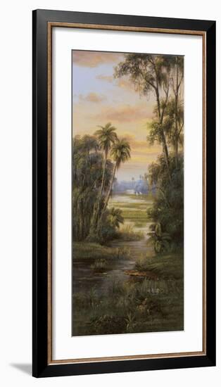 Tropical Lagoon I-Montoya-Framed Art Print