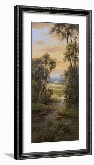 Tropical Lagoon I-Montoya-Framed Art Print