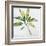 Tropical Landscape IV-Brenda Bredvik-Framed Art Print