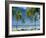 Tropical Landscape of Palm Trees at Pigeon Point on the Island of Tobago, Caribbean-John Miller-Framed Photographic Print