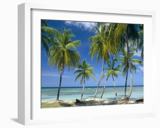 Tropical Landscape of Palm Trees at Pigeon Point on the Island of Tobago, Caribbean-John Miller-Framed Photographic Print