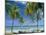 Tropical Landscape of Palm Trees at Pigeon Point on the Island of Tobago, Caribbean-John Miller-Mounted Photographic Print