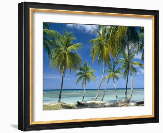 Tropical Landscape of Palm Trees at Pigeon Point on the Island of Tobago, Caribbean-John Miller-Framed Photographic Print