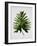 Tropical Leaf 2-LILA X LOLA-Framed Art Print