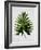 Tropical Leaf 2-LILA X LOLA-Framed Art Print