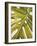 Tropical Leaf I-Patricia Pinto-Framed Art Print