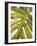 Tropical Leaf I-Patricia Pinto-Framed Art Print