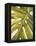 Tropical Leaf I-Patricia Pinto-Framed Stretched Canvas