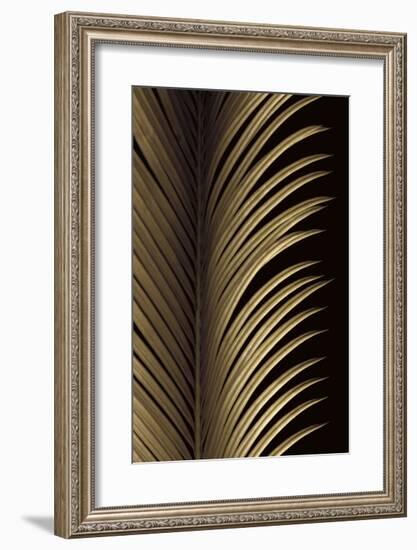 Tropical Leaf Study I-Andrew Levine-Framed Giclee Print