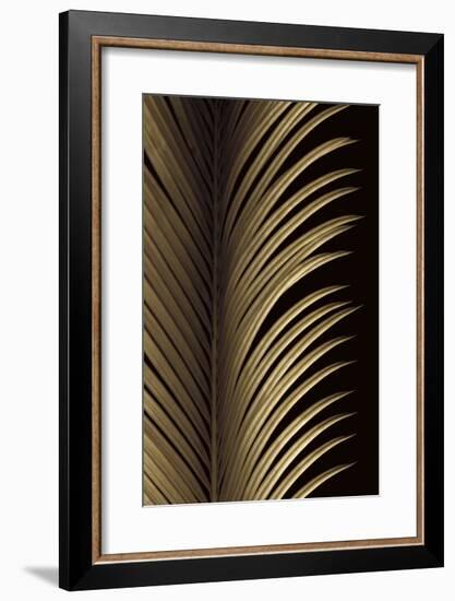 Tropical Leaf Study I-Andrew Levine-Framed Giclee Print