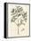 Tropical Leaf Study I-Hugo Wild-Framed Stretched Canvas